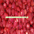 2016 Nouvelle Crop surgelée IQF Fruits Fraise